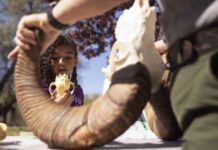 Youngsters learn outdoor skills at Heritage Day | Western Colorado