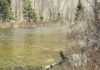 North Country Angling: Brook trout, yellow perch and dams | Fishing