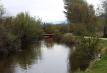 Trout Unlimited to host Youth Conservation Day Camp | Local News