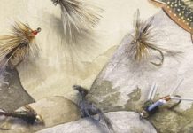 North Country Angling: Mailbag | Fishing