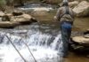 Native brook trout provide a summer adventure | Indiana County Sports