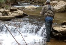 Native brook trout provide a summer adventure | Indiana County Sports