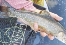 North Country Angling: Memorial Day weekend best bets | Fishing