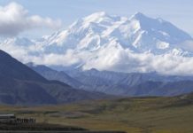 When I really met my mother – New York Daily News