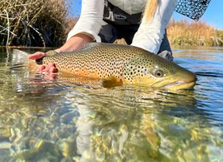 International Fly-Fishing Festival Offers Look at Prize Rivers and the Art of Fly Fishing