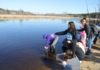 Students release fish into Escanaba River | News, Sports, Jobs