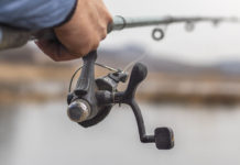 DEM restocking freshwater fishing areas ahead of Memorial Day weekend