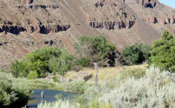 How to Fish a Tailwater
