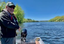 This conservationist dreams of a day when he can’t catch shad in the Kennebec River