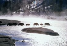 Top things to do in Wyoming