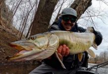 Best Musky Reels of 2022