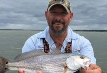 Chris Dollar on the outdoors: Red drum, a magical fish for anglers