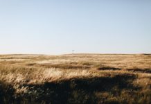 Who Crossed The Texas Panhandle? An Explorer Looking To Be Rich.