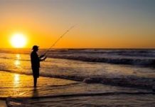 Carp shy to bite but trout are in high gear