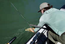 Pro Tips: How to Use the Bump-Twitch Streamer Retrieve