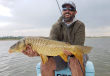 Pro Tips: Three Flies that Carp Will Eat