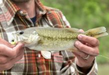 How to Catch a Guadalupe Bass – Texas Monthly