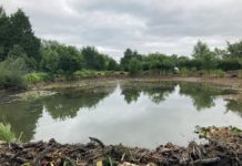 Rod licence income benefits fisheries in Wessex