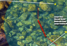 Master Class Monday: How to Cast to Rising Trout