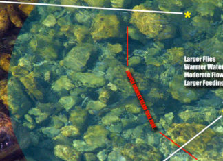 Master Class Monday: How to Cast to Rising Trout