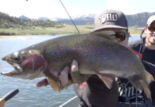 Missouri River Fly Fishing Tips