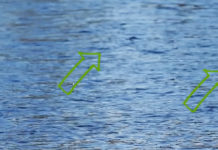 Master Class Monday: How to Spot Rising Trout