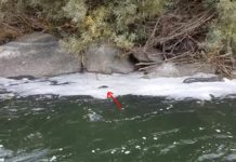 Pro Tips: How to Catch the Last of a Hatch by “Scumlining”