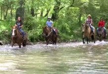 Top 10 things to do around North Georgia this May – WSB-TV Channel 2