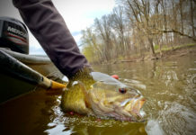 Pro Tips: How to Catch Smallmouths Year-Round