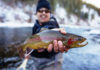 2022-2023 Colorado Fishing Licenses are Available Now