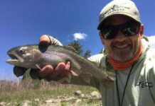 Special Bugs | VailDaily.com