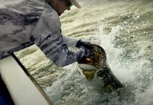 Why There’s Still Bigger Ones Waiting to Be Caught