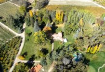 $35-Million Argentina Wine Estate Produces 600,000 Bottles Annually