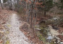 Champ’s double win a first for competition