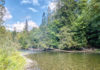 Victoria fly fishing club marks 45 years with new Cowichan River angling map – Cowichan Valley Citizen