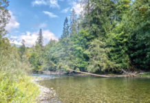 Victoria fly fishing club marks 45 years with new Cowichan River angling map – Chemainus Valley Courier