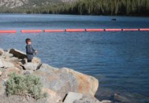 Anglers target trout in Caples Lake, Lower Bear River near Highway 88