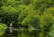 The 7.03 to fly fishing heaven