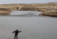 Editorial board: Opposition to land deal seems misplaced | Editorial