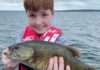 Chicago fishing, Midwest Fishing Report: Perch, catfish smallmouth, largemouth, bluegill, lakers