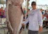 New regulations, red snapper, hot action headline outdoor news | Sports