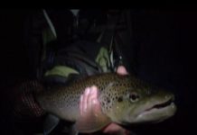 Jon Osborn: Bumps in the night | News