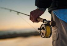 Fishing report: Runoff a common theme; salmonfly hatch looms | State & Regional