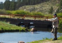 For veterans in Colorado Springs, fly fishing leads to healing waters | Lifestyle