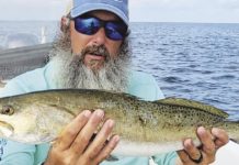 Time to adjust angling strategy for warmer weather | Local News