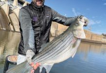 Casting flies to catch big bass: Inaugural Pat Daly Invitational a statewide bass fly fishing tournament | City Desk