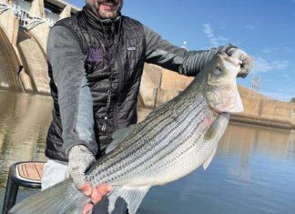 Casting flies to catch big bass: Inaugural Pat Daly Invitational a statewide bass fly fishing tournament | City Desk