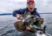 The Washington Outdoors Report: Local shows worth watching | Features