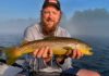 Bull Shoals region is a special fishing destination