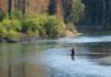 Climate change altering fly fishing to alarm of once skeptical anglers
